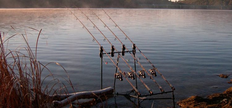 Как рыбачить на донку: как ловить и что ловят на донную снасть