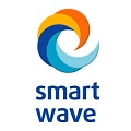 Амортизационные стойки и адаптеры Smart Wave