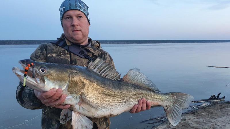 Новосибирский любитель рыбной ловли выловил десятикилограммового судака
